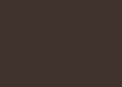 Musket Brown color swatch