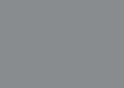 Dove Gray color swatch