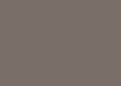 Light Bronze color swatch
