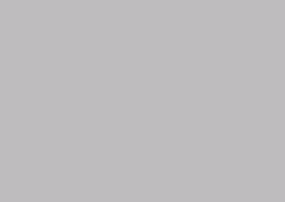 Colonial Gray color swatch