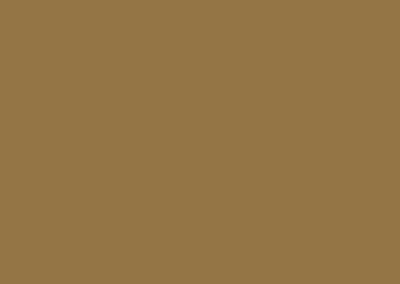 Buckskin Brown color swatch