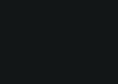 Black color swatch