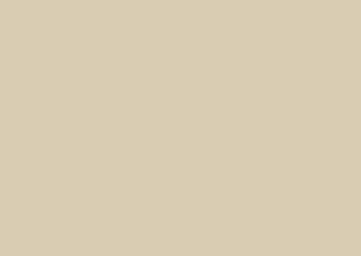 Raffia Beige color swatch
