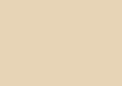 Classic Cream color swatch