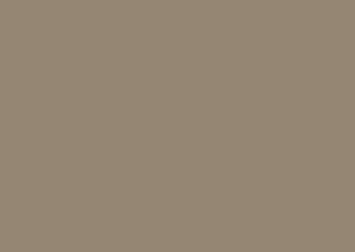 Wood Beige color swatch